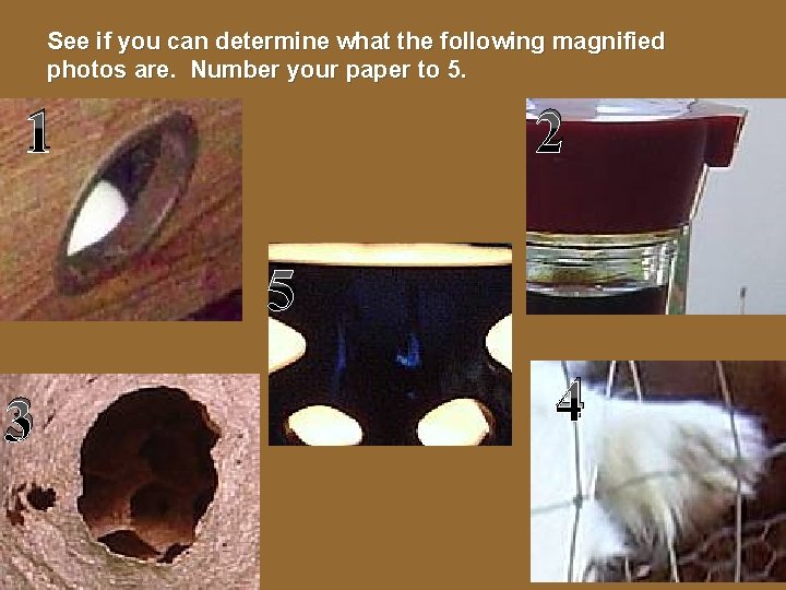 See if you can determine what the following magnified photos are. Number your paper