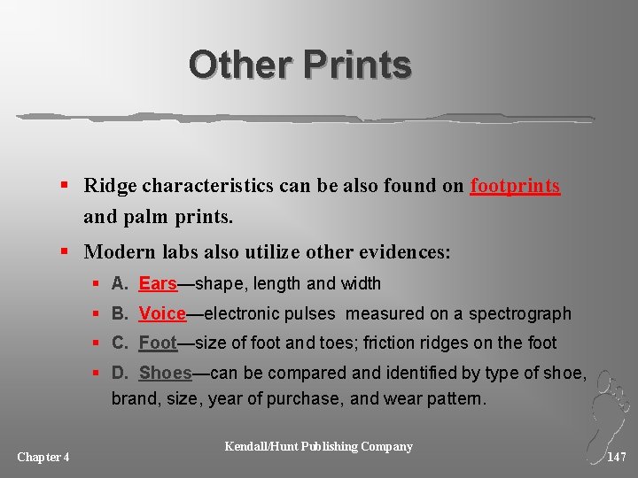 Other Prints § Ridge characteristics can be also found on footprints and palm prints.