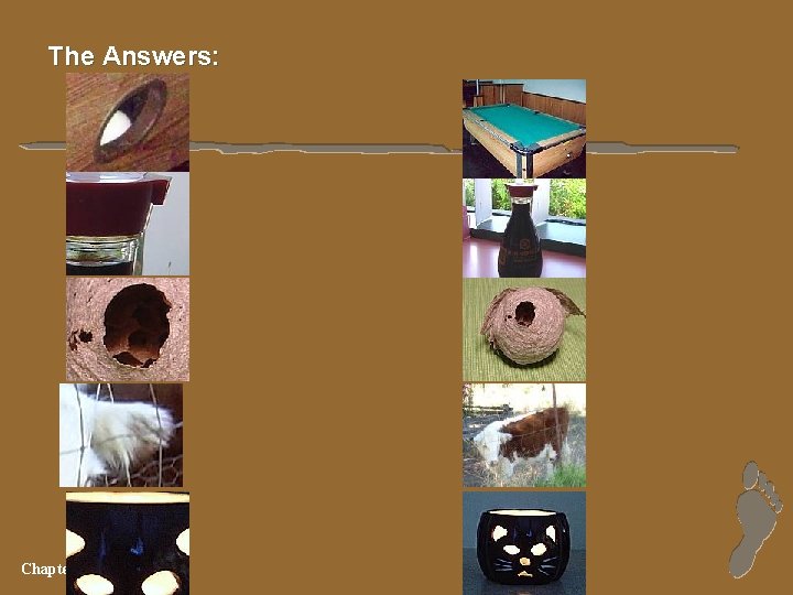 The Answers: Chapter 4 