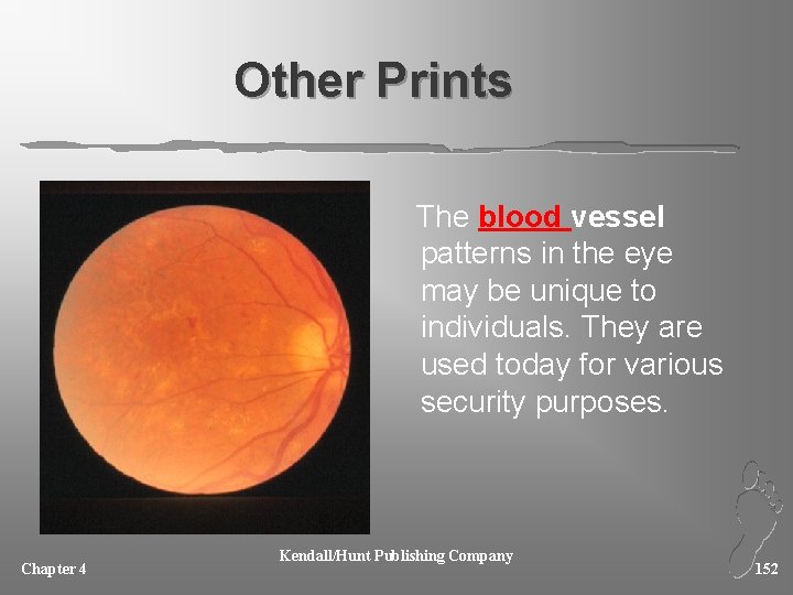 Other Prints The blood vessel patterns in the eye may be unique to individuals.