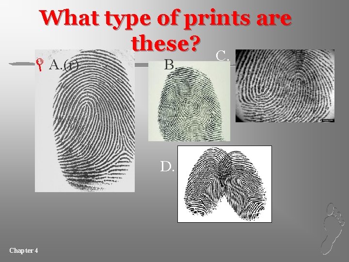 What type of prints are these? C. LA. (r) B. D. Chapter 4 