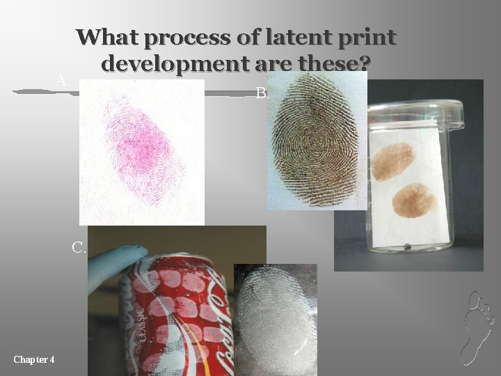 A. What process of latent print development are these? B. Chapter 4 