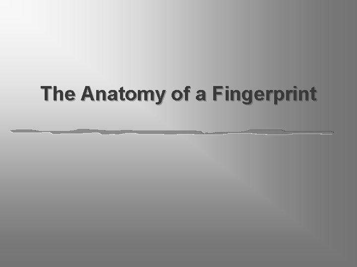 The Anatomy of a Fingerprint 