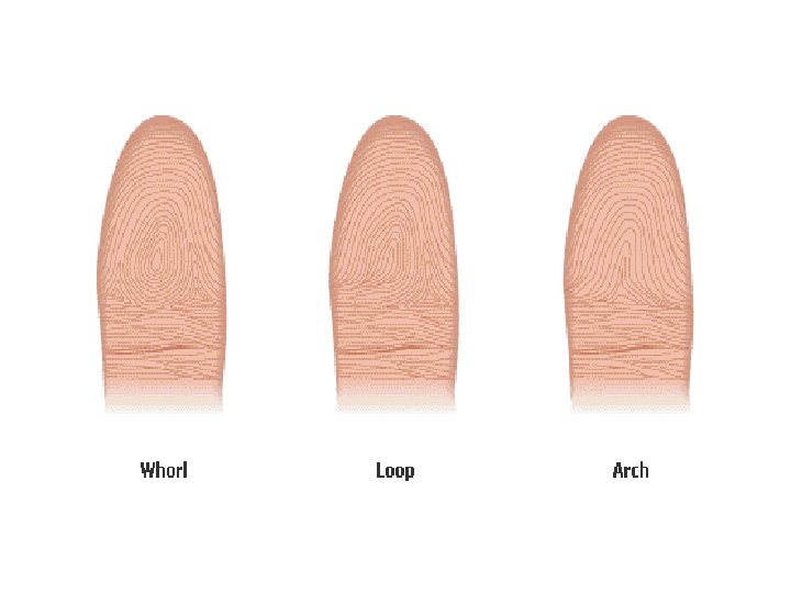 Chapter 4 Kendall/Hunt Publishing Company 73 