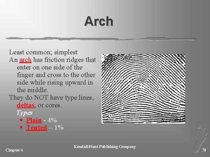 Arch Least common; simplest An arch has friction ridges that enter on one side