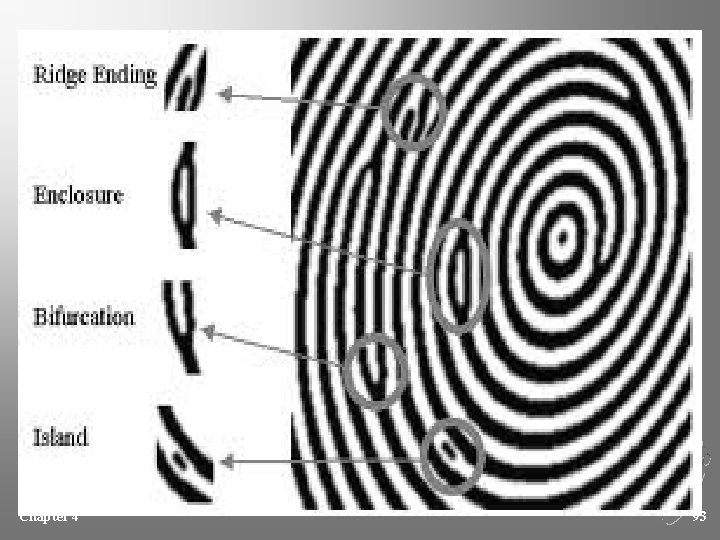 Chapter 4 Kendall/Hunt Publishing Company 93 