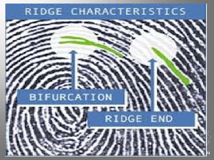 Chapter 4 Kendall/Hunt Publishing Company 94 