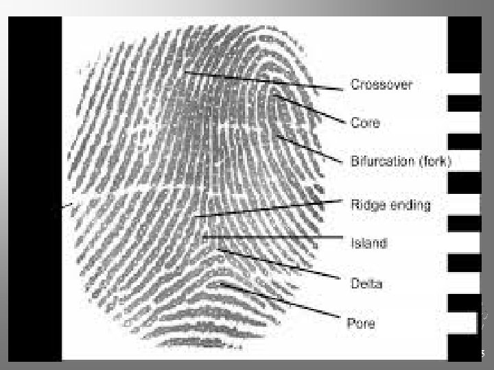 Chapter 4 Kendall/Hunt Publishing Company 95 