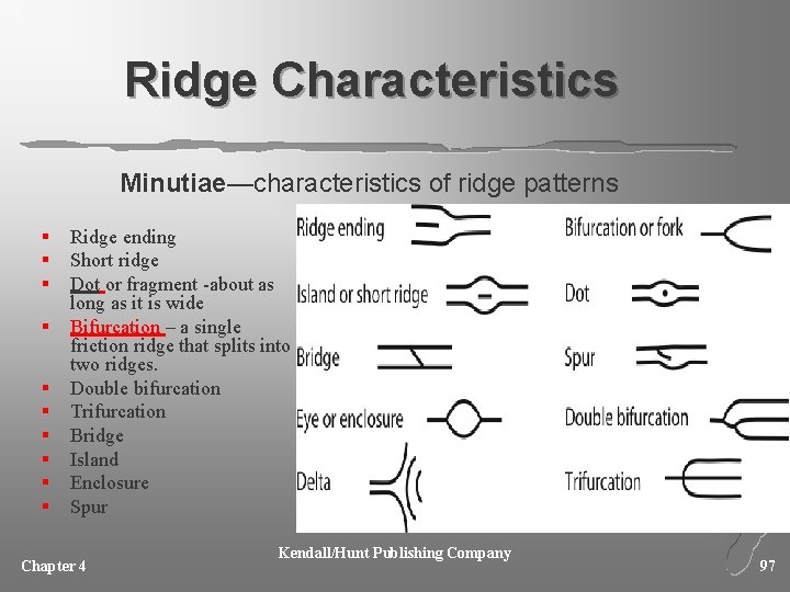 Ridge Characteristics Minutiae—characteristics of ridge patterns § § § § § Ridge ending Short