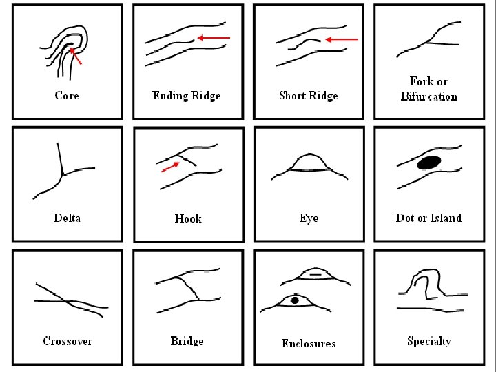 Chapter 4 Kendall/Hunt Publishing Company 98 