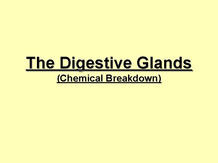 The Digestive Glands (Chemical Breakdown) 