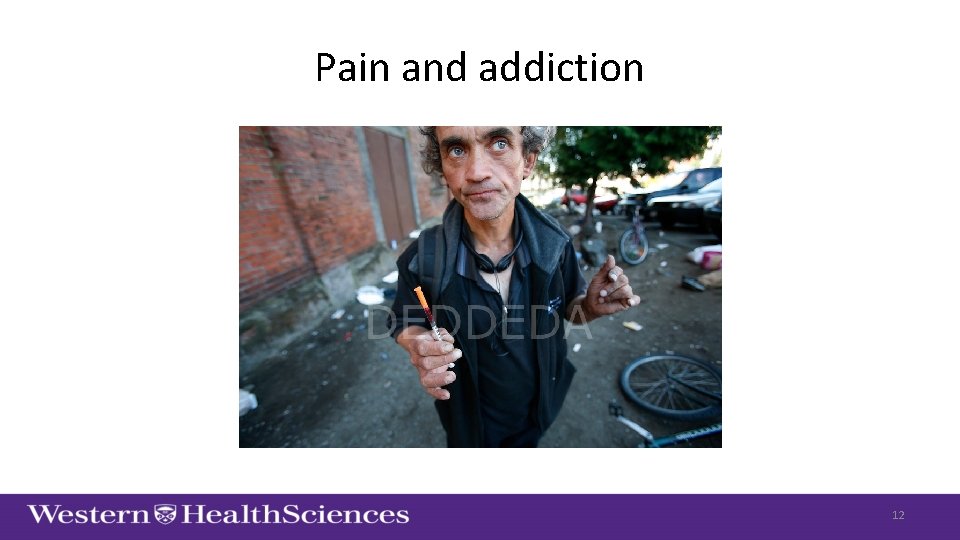 Pain and addiction 12 