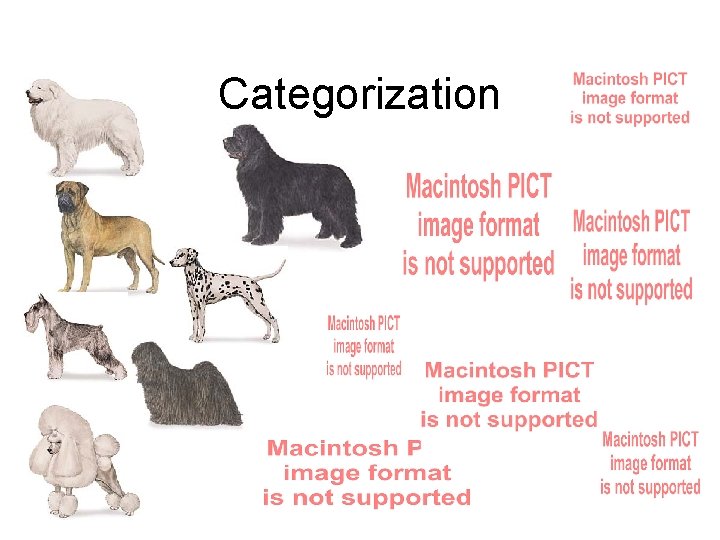 Categorization 