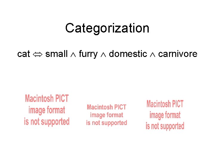 Categorization cat small furry domestic carnivore 