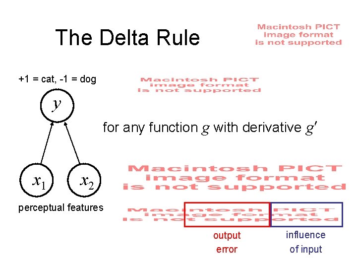 The Delta Rule +1 = cat, -1 = dog y for any function g