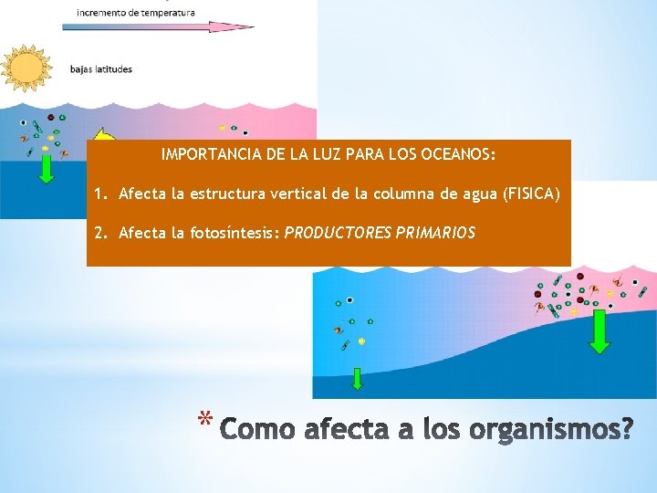 IMPORTANCIA DE LA LUZ PARA LOS OCEANOS: 1. Afecta la estructura vertical de la