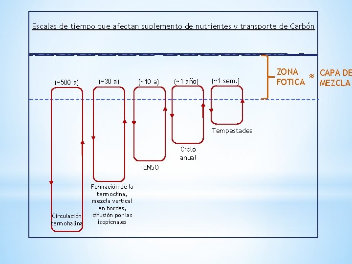 Escalas de tiempo que afectan suplemento de nutrientes y transporte de Carbón (~500 a)