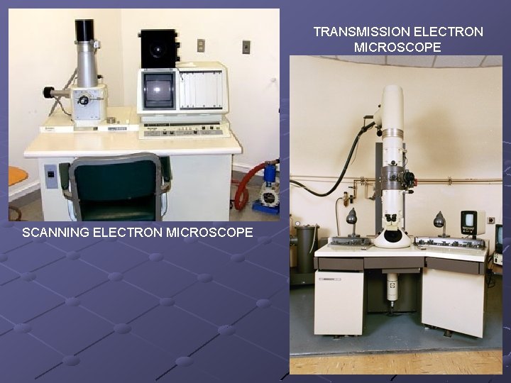 TRANSMISSION ELECTRON MICROSCOPE SCANNING ELECTRON MICROSCOPE 