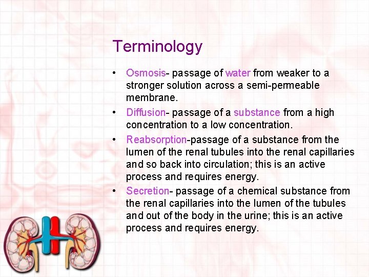 Terminology • Osmosis- passage of water from weaker to a stronger solution across a