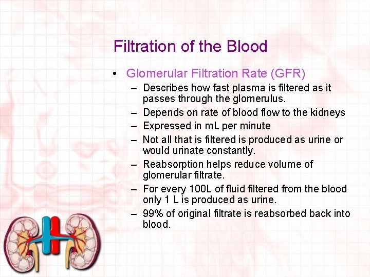 Filtration of the Blood • Glomerular Filtration Rate (GFR) – Describes how fast plasma