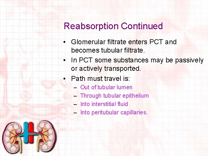 Reabsorption Continued • Glomerular filtrate enters PCT and becomes tubular filtrate. • In PCT