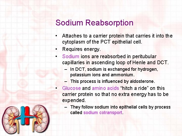 Sodium Reabsorption • Attaches to a carrier protein that carries it into the cytoplasm