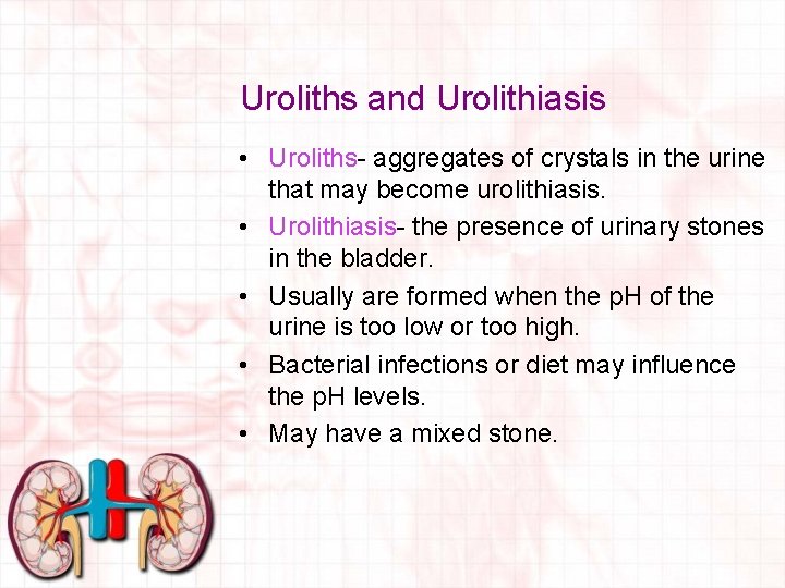 Uroliths and Urolithiasis • Uroliths- aggregates of crystals in the urine that may become