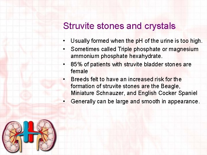 Struvite stones and crystals • Usually formed when the p. H of the urine