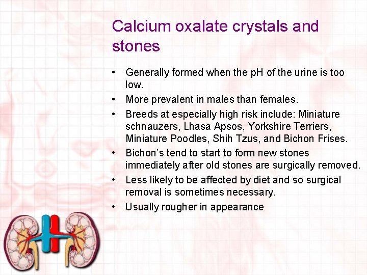Calcium oxalate crystals and stones • Generally formed when the p. H of the