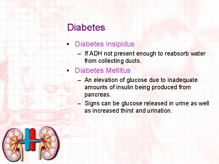 Diabetes • Diabetes Insipidus – If ADH not present enough to reabsorb water from