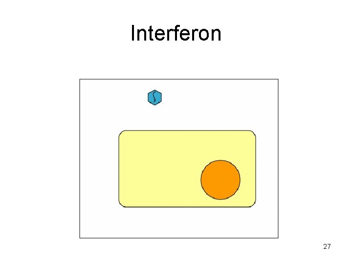 Interferon 27 