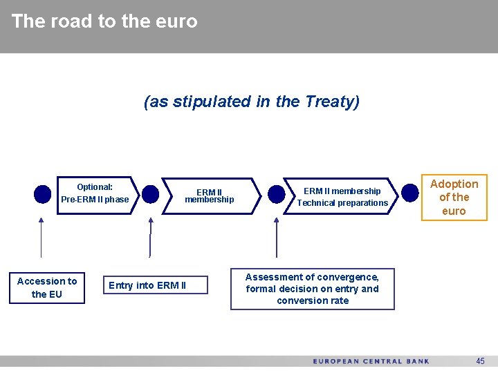 The road to the euro (as stipulated in the Treaty) Optional: Pre-ERM II phase