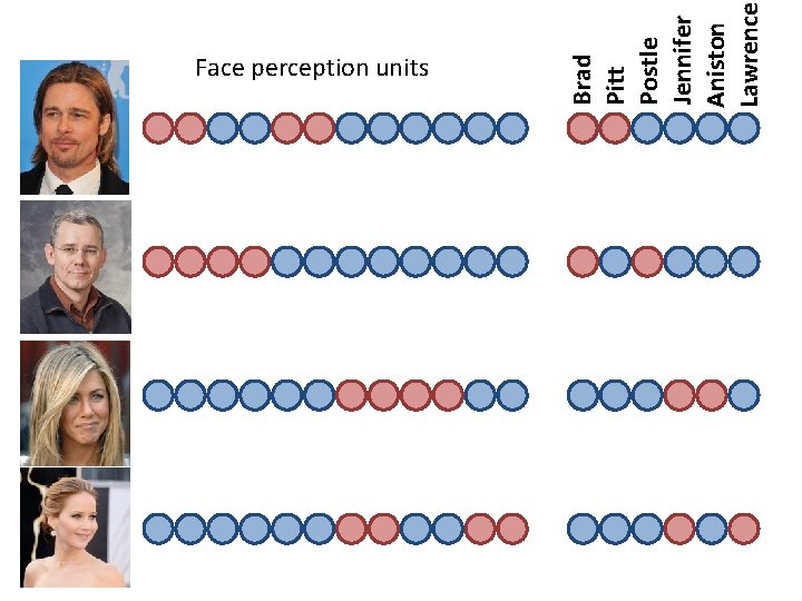 Brad Pitt Postle Jennifer Aniston Lawrence Face perception units 