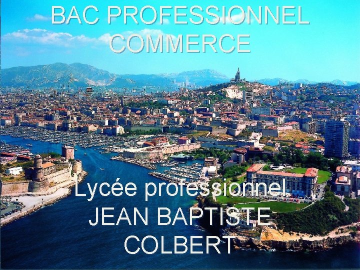 BAC PROFESSIONNEL COMMERCE Lycée professionnel JEAN BAPTISTE COLBERT 