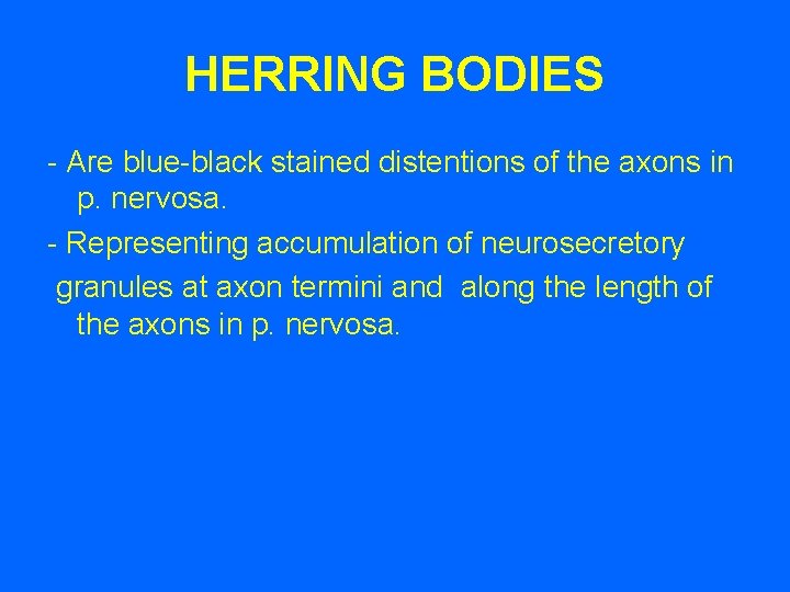 HERRING BODIES - Are blue-black stained distentions of the axons in p. nervosa. -