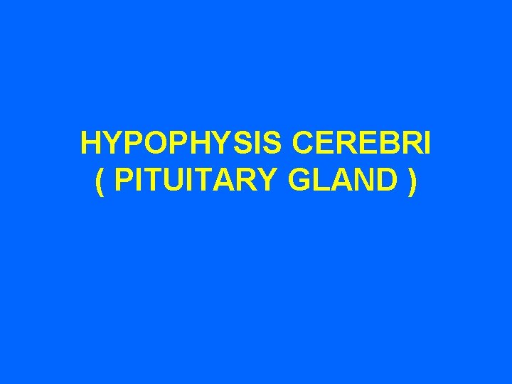 HYPOPHYSIS CEREBRI ( PITUITARY GLAND ) 