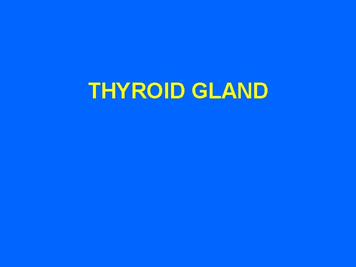 THYROID GLAND 