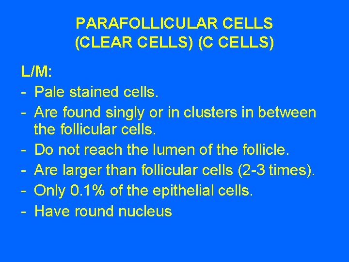 PARAFOLLICULAR CELLS (CLEAR CELLS) (C CELLS) L/M: - Pale stained cells. - Are found
