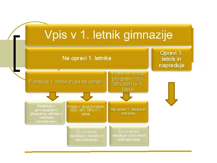 Opravi 1. letnik in napreduje Ne opravi 1. letnika Ponavlja 1. letnik in ga