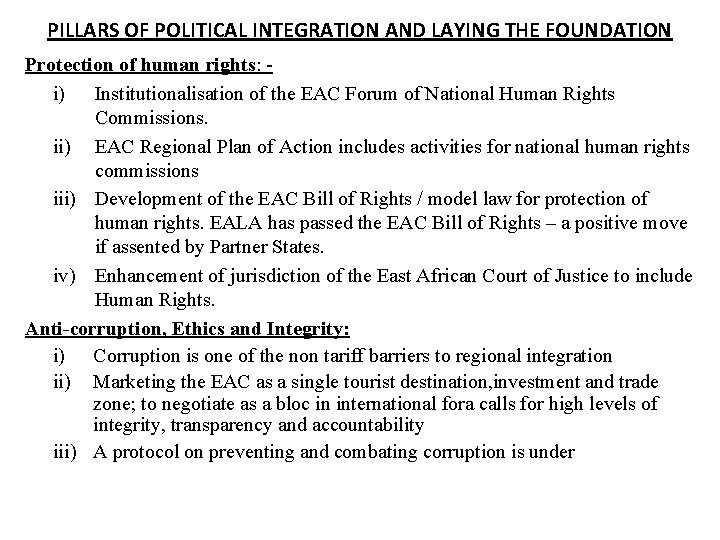PILLARS OF POLITICAL INTEGRATION AND LAYING THE FOUNDATION Protection of human rights: i) Institutionalisation