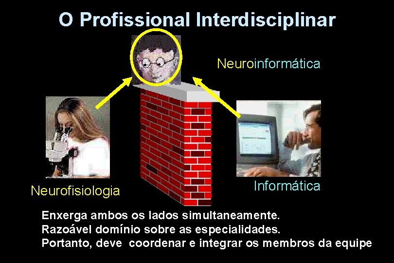 O Profissional Interdisciplinar Neuroinformática Neurofisiologia Informática Enxerga ambos os lados simultaneamente. Razoável domínio sobre