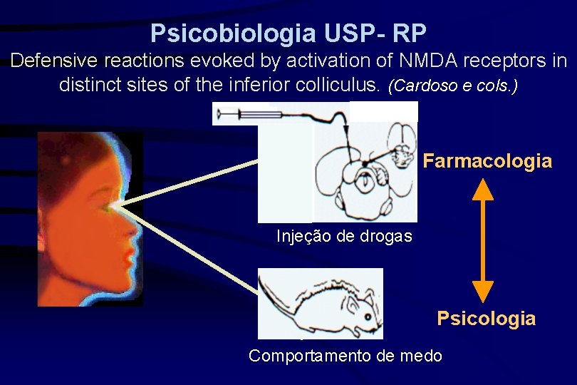 Psicobiologia USP- RP Defensive reactions evoked by activation of NMDA receptors in distinct sites