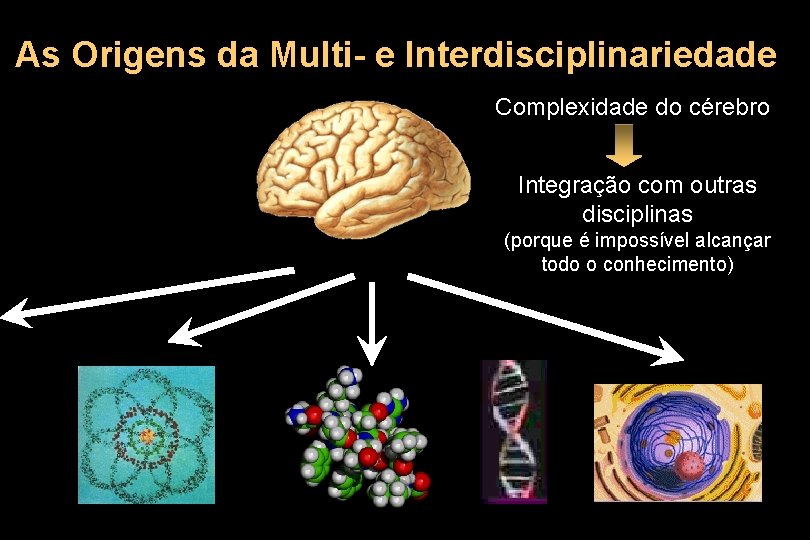 As Origens da Multi- e Interdisciplinariedade Complexidade do cérebro Integração com outras disciplinas (porque