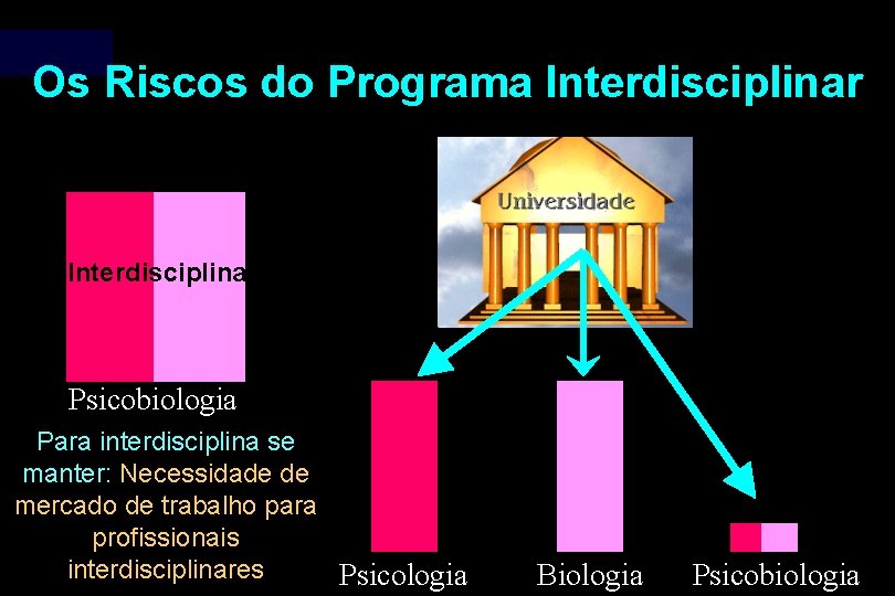 Os Riscos do Programa Interdisciplinar Interdisciplina Psicobiologia Para interdisciplina se manter: Necessidade de mercado