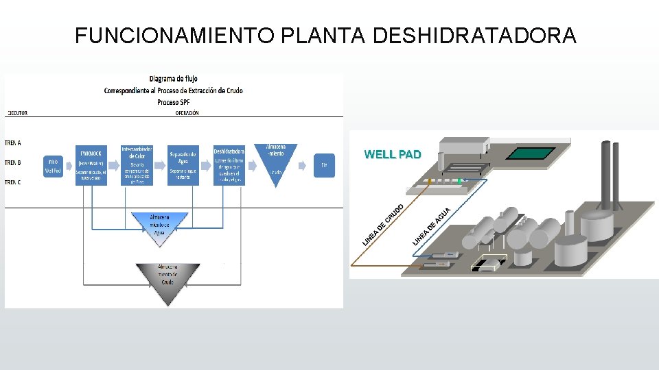 FUNCIONAMIENTO PLANTA DESHIDRATADORA 