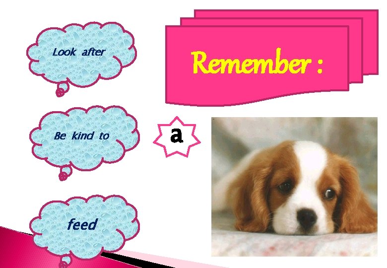 Look after Be kind to feed Remember : a Look after Be kind to feed Remember : a