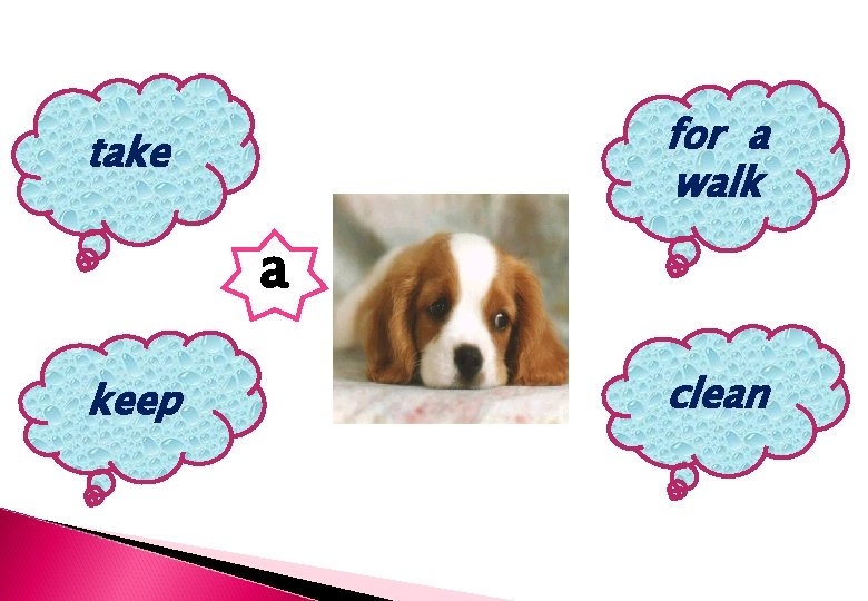 for a walk take a keep clean for a walk take a keep clean