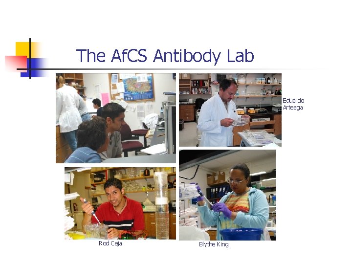 The Af. CS Antibody Lab Eduardo Arteaga Rod Ceja Blythe King 