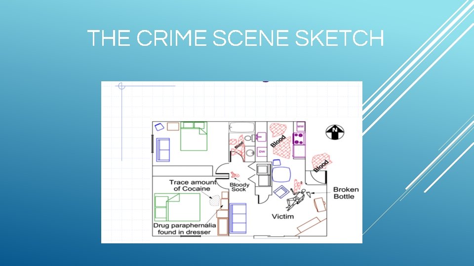 THE CRIME SCENE SKETCH 