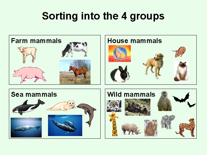 Sorting into the 4 groups Farm mammals House mammals Sea mammals Wild mammals 